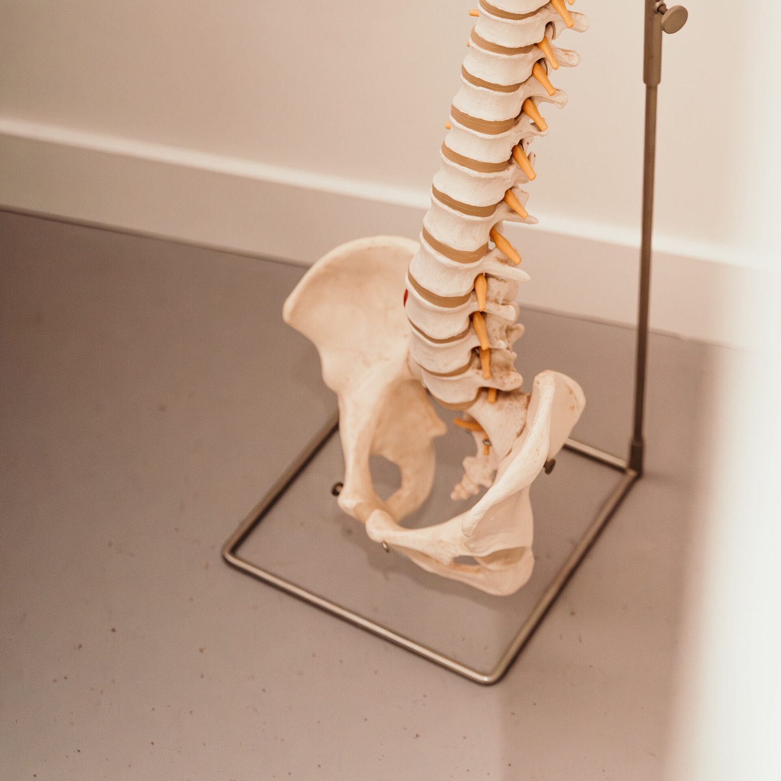 Rugschool onder de loep